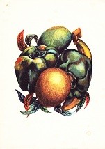 Menukaart Koninklijke Rotterdamsche lloyd, Fruit